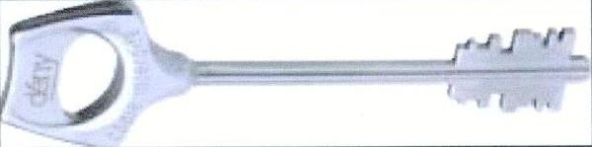 CLE DENY INOX
