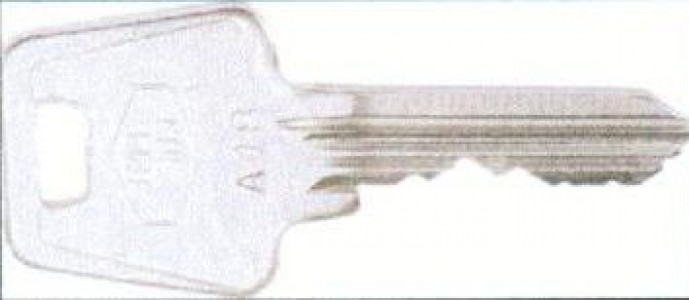 CLE 303