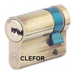 Demi Cylindre Profil Européen Variés sur Passe EDF 2 CLES